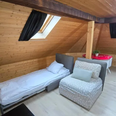 Attic Loft With Rooftop Terrace! * 苏黎世