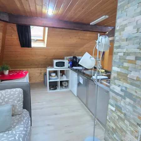 公寓 Attic Loft With Rooftop Terrace! 苏黎世