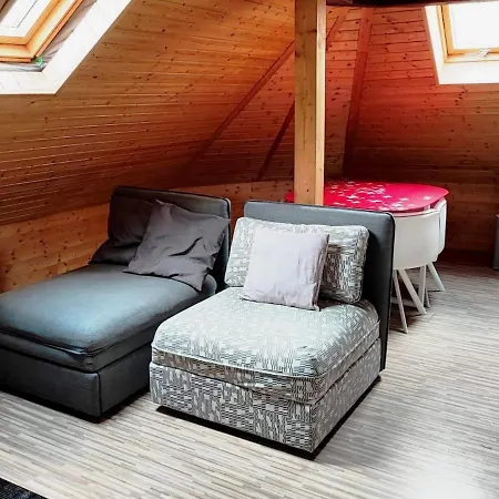 Apartment Attic Loft With Rooftop Terrace!