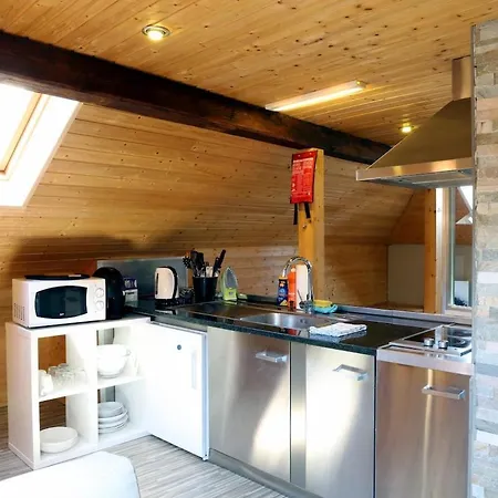 Attic Loft With Rooftop Terrace! Apartment