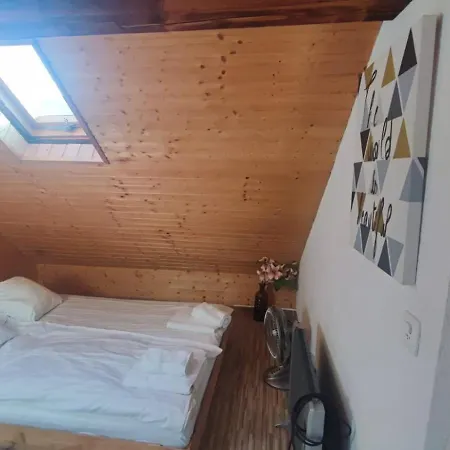 Attic Loft With Rooftop Terrace! Apartment *