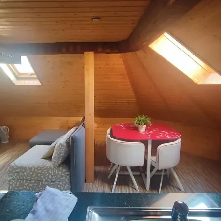 Attic Loft With Rooftop Terrace! Apartment Zurich