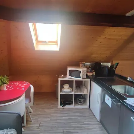 Attic Loft With Rooftop Terrace! * Zurich