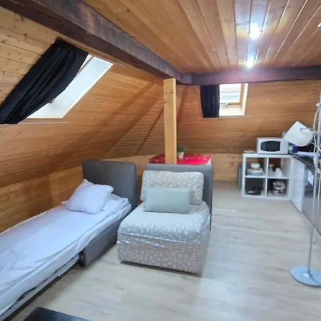 아파트 Attic Loft With Rooftop Terrace! 취리히