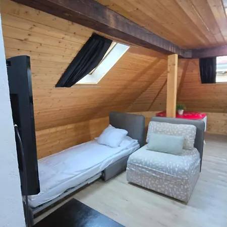 Daire Attic Loft With Rooftop Terrace! Zürih