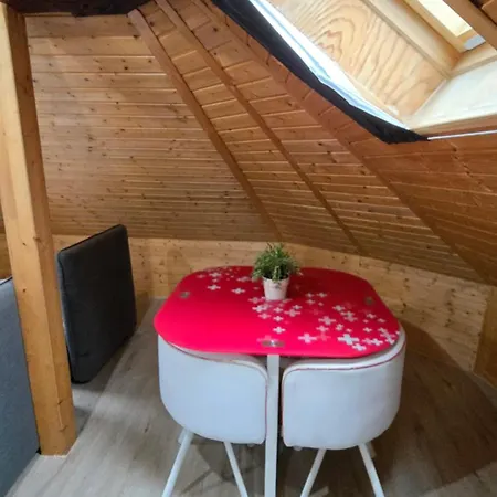 Attic Loft With Rooftop Terrace! Daire *