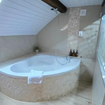 Attic Loft With Rooftop Terrace! Apartment