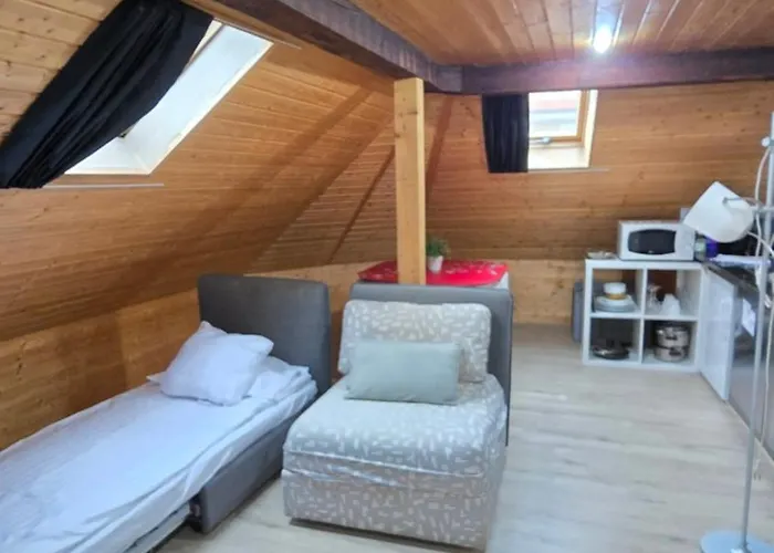 아파트 Attic Loft With Rooftop Terrace! 취리히