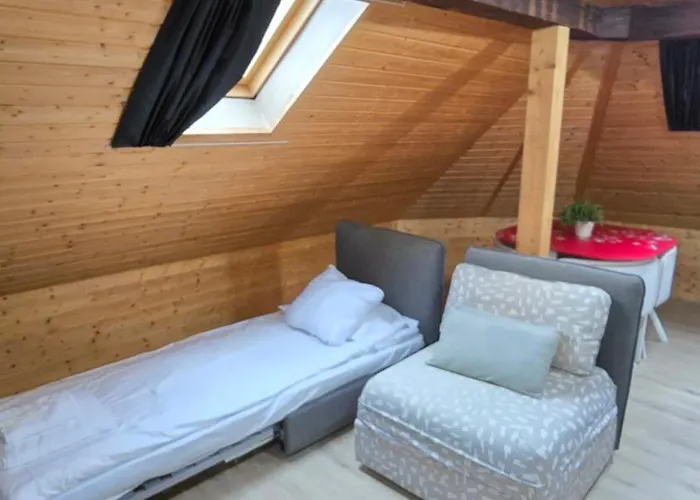 Attic Loft With Rooftop Terrace! * 취리히