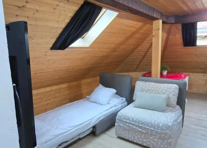 아파트 Attic Loft With Rooftop Terrace! 취리히