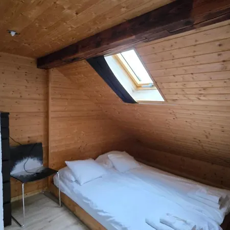 Attic Loft With Rooftop Terrace! Apartment Zurich