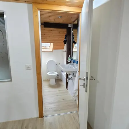 شقة Attic Loft With Rooftop Terrace! زيورخ