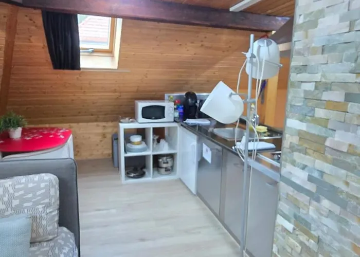 Апартаменты Attic Loft With Rooftop Terrace! Цюрих