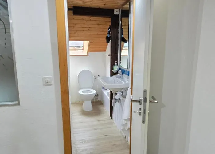 Апартаменты Attic Loft With Rooftop Terrace! Цюрих